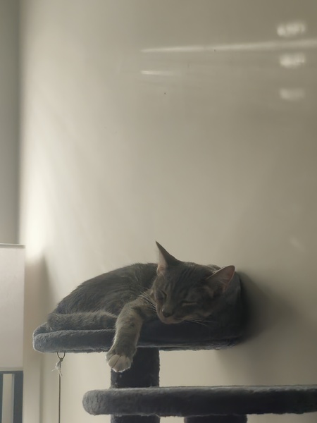 Entry image for Geralt. Clicking this image will show a larger photo