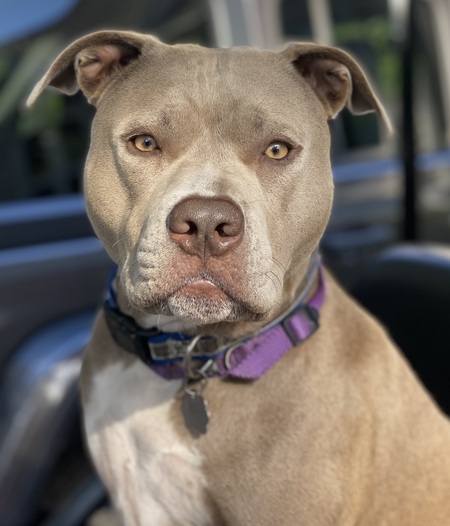 Entry image for Suzy . Clicking this image will show a larger photo