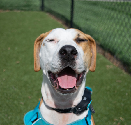 Entry image for Caitlyn Brown. Clicking this image will show a larger photo