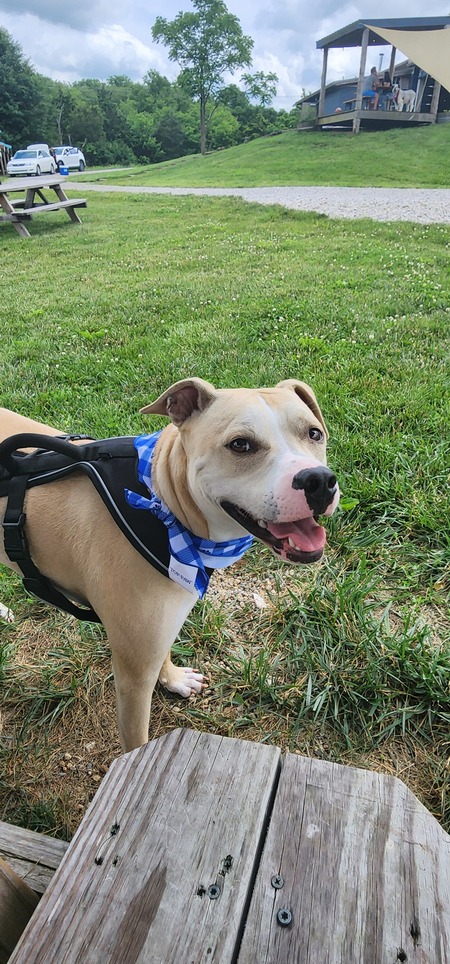 Entry image for Bill. Clicking this image will show a larger photo