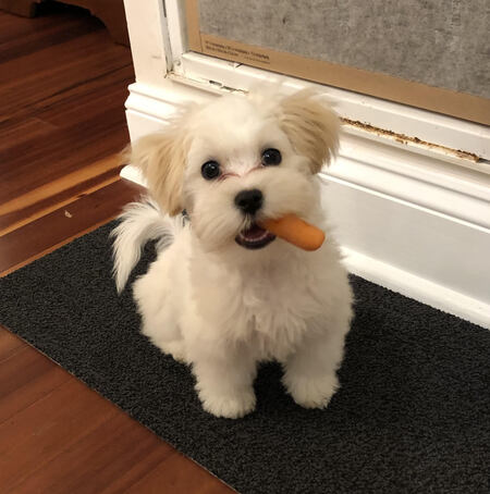 Entry image for Aperitivo. Clicking this image will show a larger photo