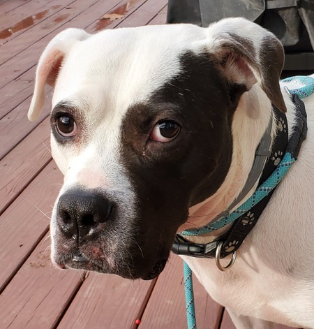 Entry image for Tube . Clicking this image will show a larger photo