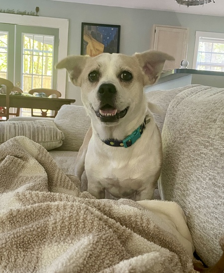 Entry image for Charles . Clicking this image will show a larger photo