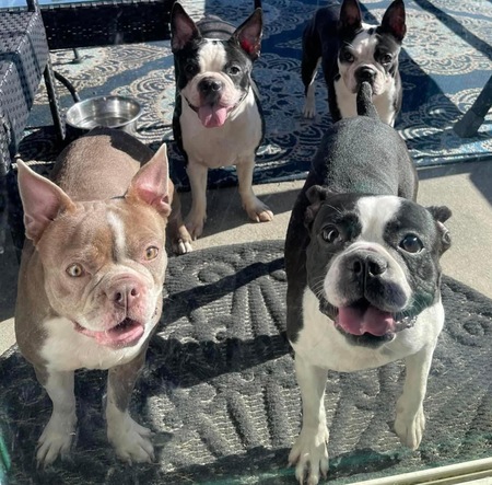 Kiki, Gabbana, Dior ,Chloe 