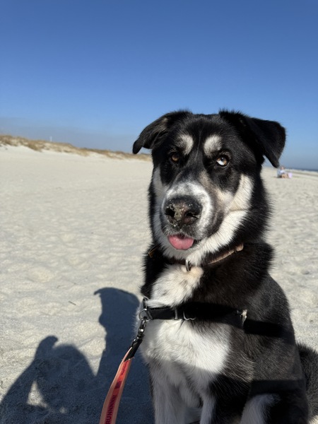 Oakley
