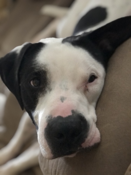 Wally