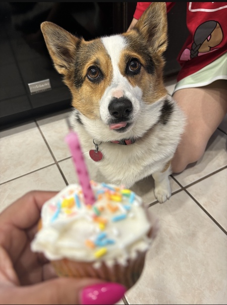 Max