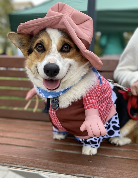 Max