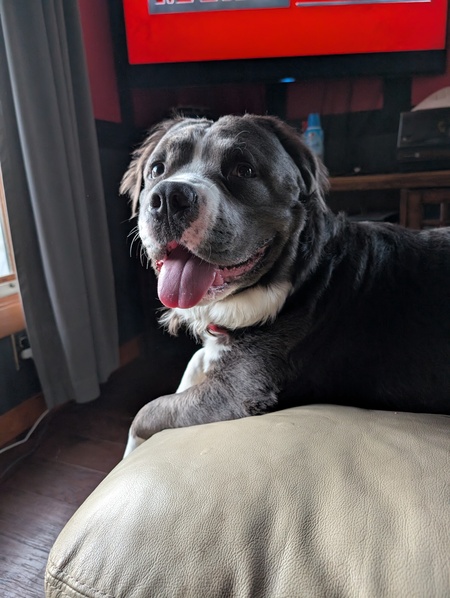 Capone 