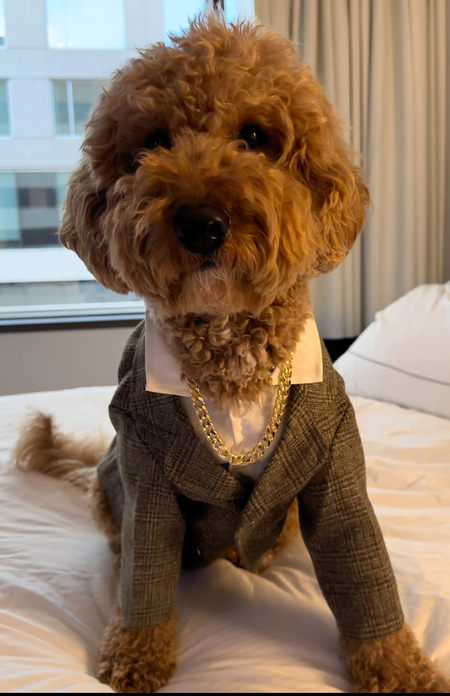 Armani