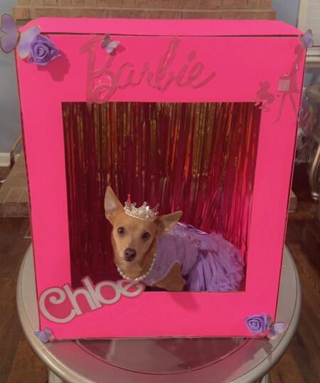 Chloe