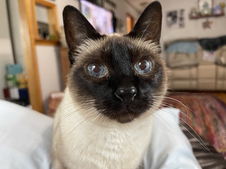 Zoe