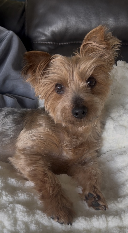 Charlie