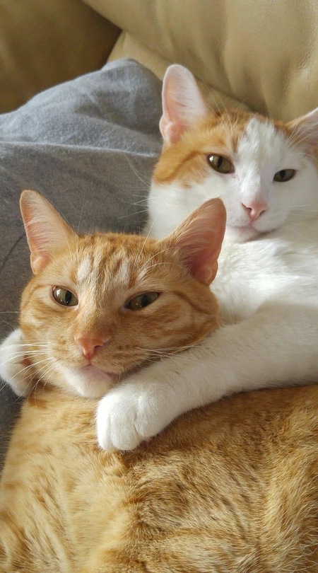 Chuy & Louie Yule 