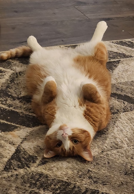 Filburt