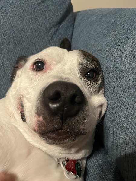 Patch