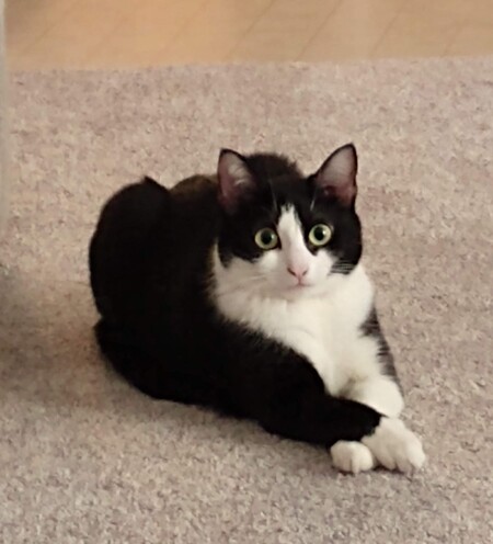 Daisy Mae
