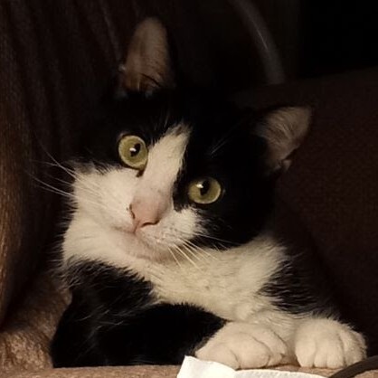Daisy Mae