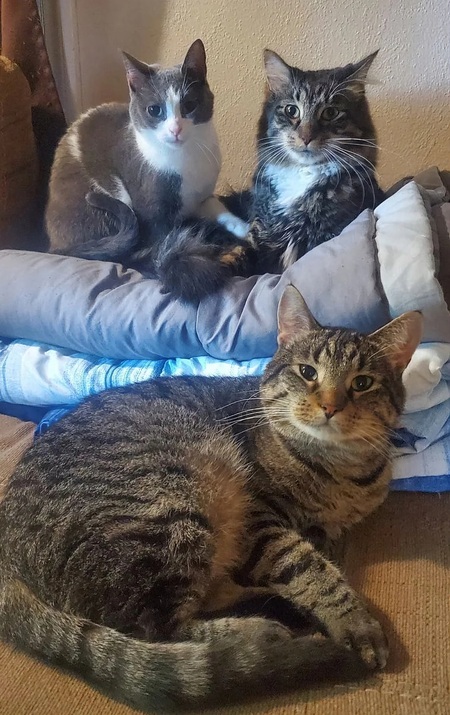 Lola, Burt, and Duncan