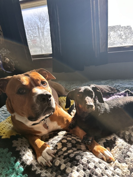 Trouble & Bruno