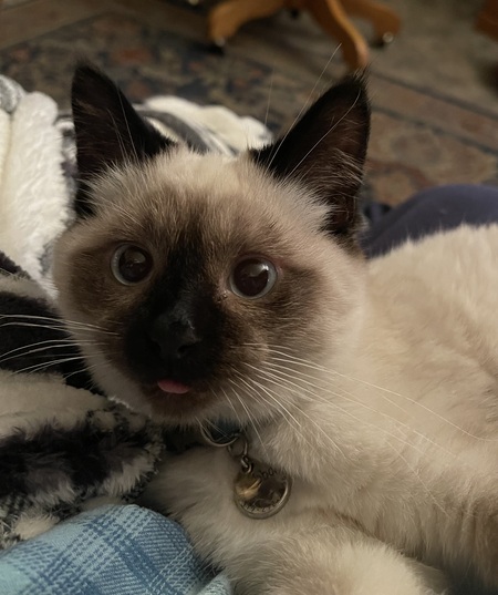 Bubba