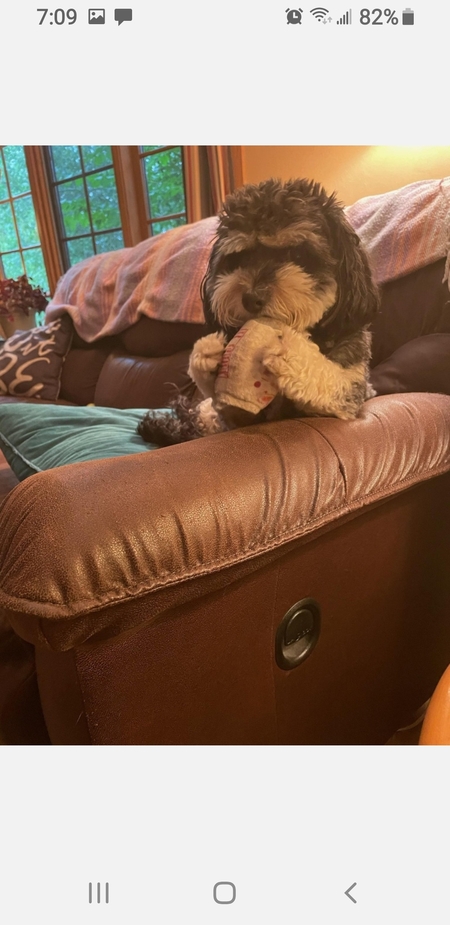 Charlie