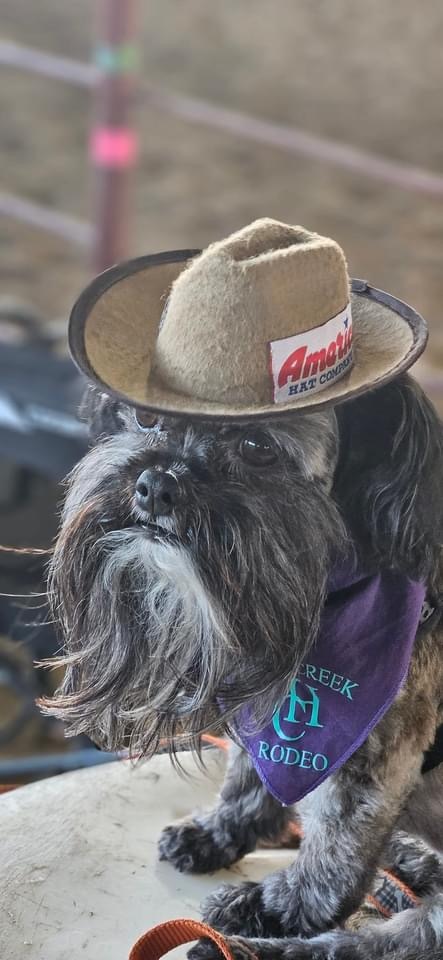 Hondo