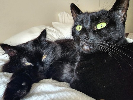 Chloe & Lucky