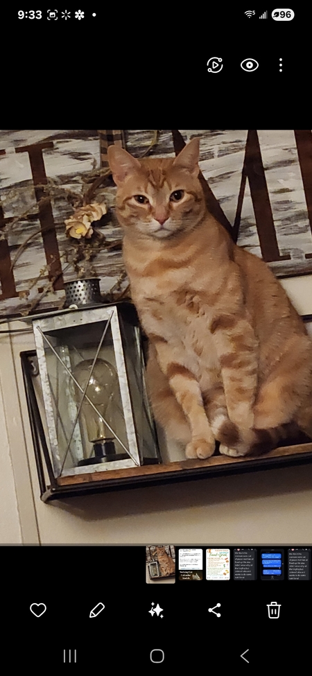 Jett