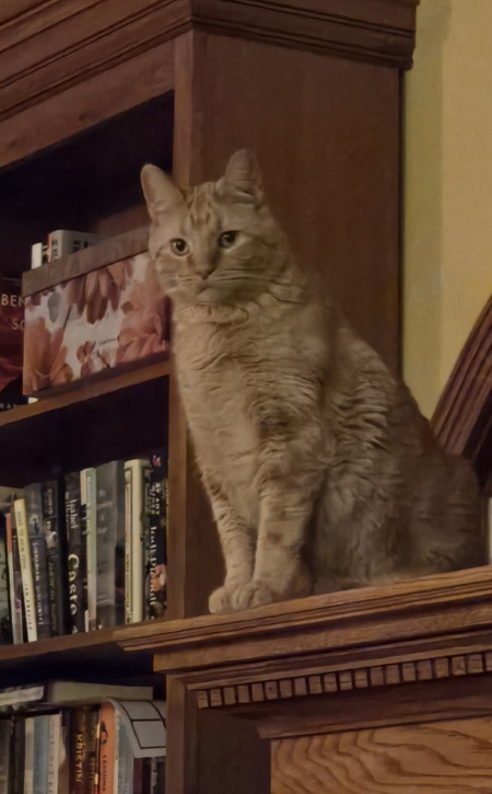 Dexter
