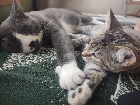 Sebastian and Sophie