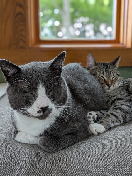 Sebastian and Sophie Snuggles