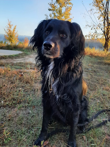 Casey