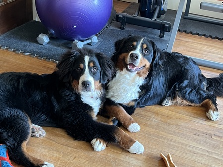 Ivy & Briar