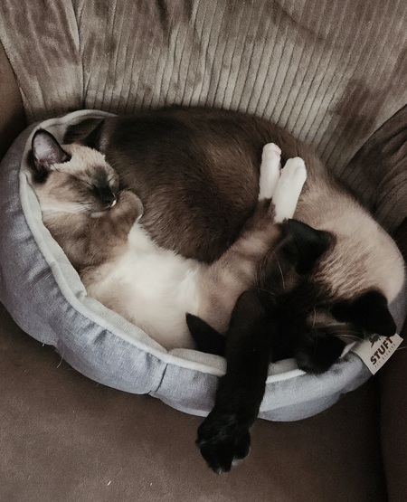 Oliver & Massey