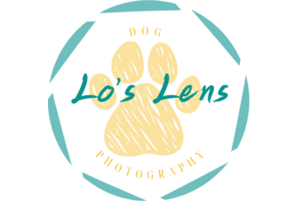 https://loslens.com/