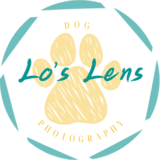 https://loslens.com/