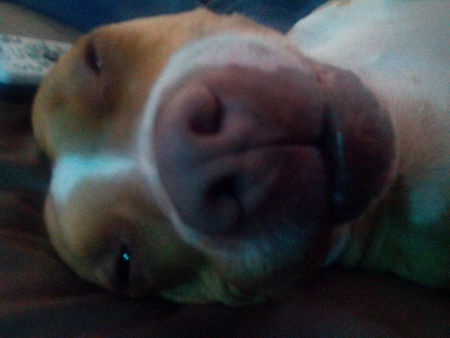 Cassie