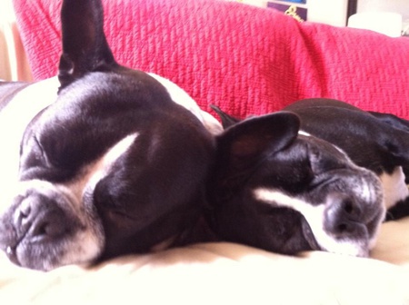 Mabel & Gracie