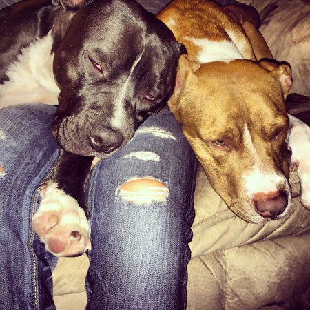 Ted & Izzie