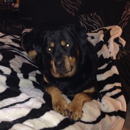 ROXI