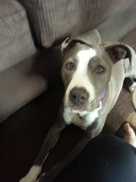 diesel