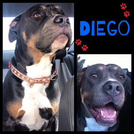 Diego