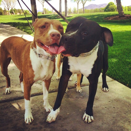 Ted & Izzie