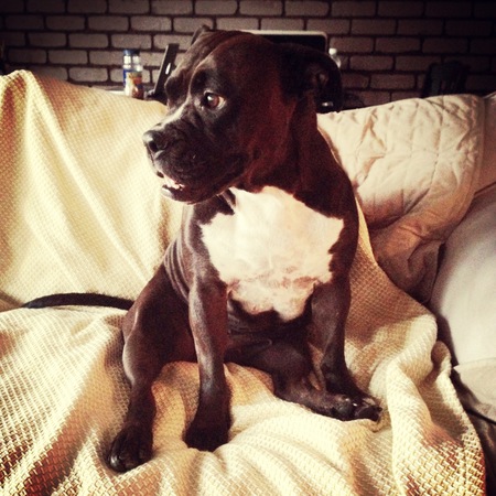 Daisy