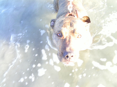 Baxter