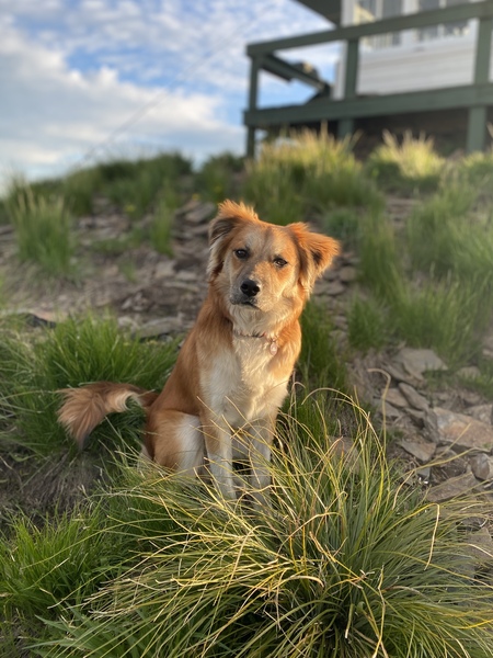 Rudy