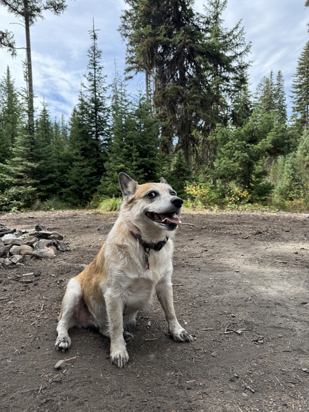 Maeby 