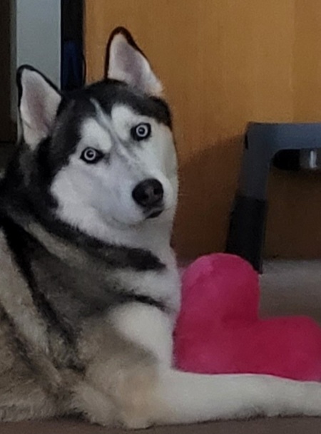Max