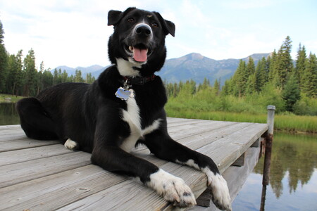 Fergus